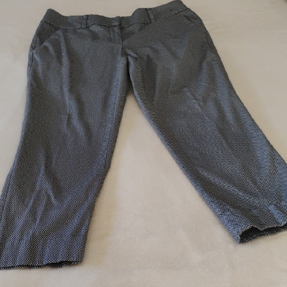 7th Avenue Sylish Pants! Fun And FLIRTY